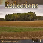  Reflections, Vol. 4 Picture