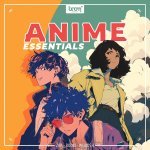 Boom Anime Essentials Picture