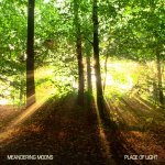  Meandering Moons - Place of Light Picture